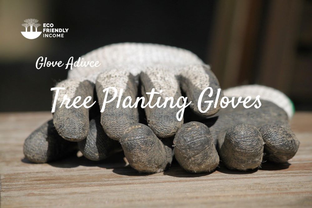 Best Gloves for Tree Planting x
