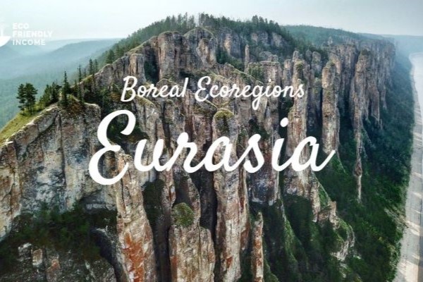 Boreal-Ecoregions-Eurasia-Lena-Pillars-Vsevolod-Pulya-resized