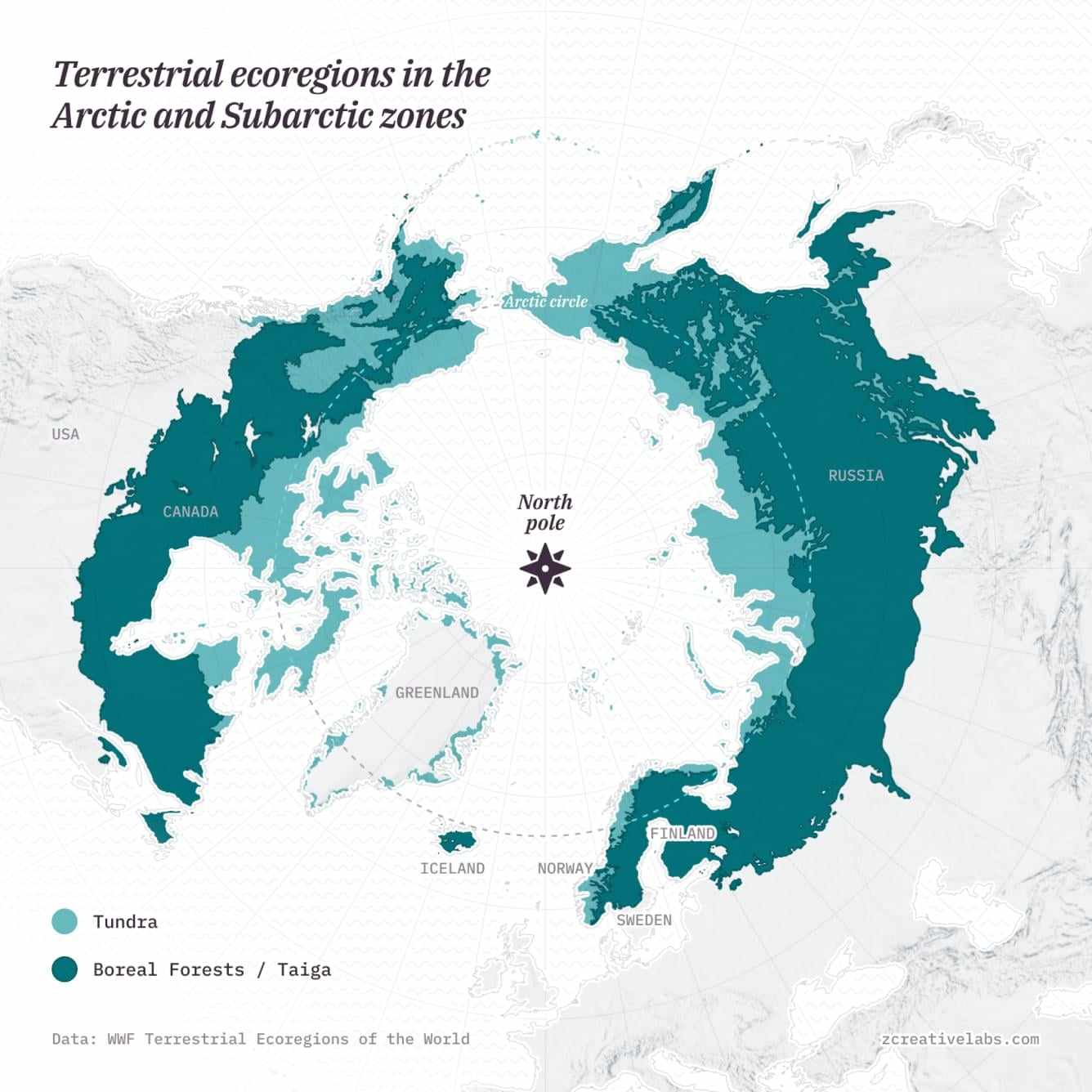 Boreal Forest & Tundra Ecoregions Map Boreal Forest & Tundra Ecoregions Map