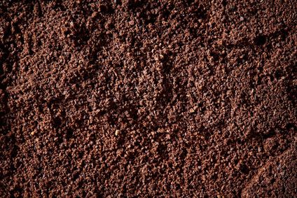 Loam Soil