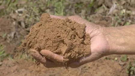 Silt Soil